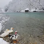 Hostel Dzajicaa Buk - Noahs Ark