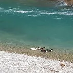 Dzajicaa Buk - Noahs Ark * Konjic