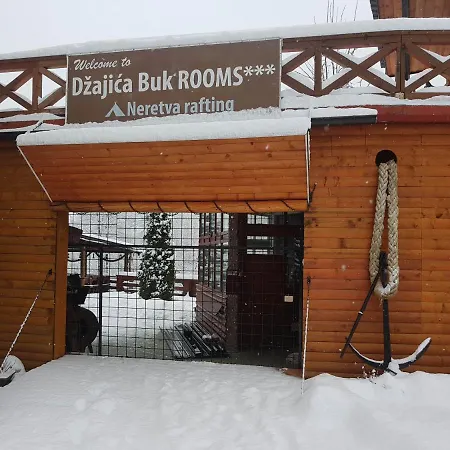 Hostel Dzajicaa Buk - Noahs Ark