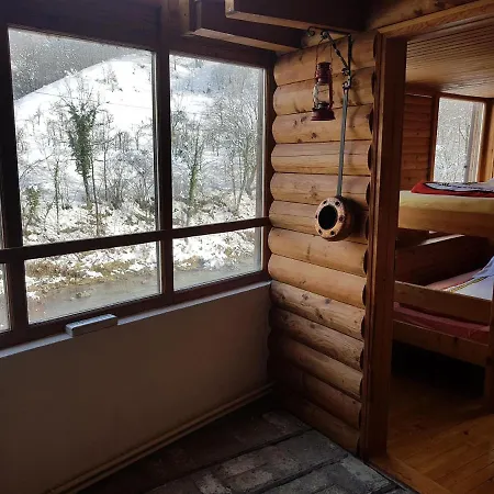 Dzajicaa Buk - Noahs Ark