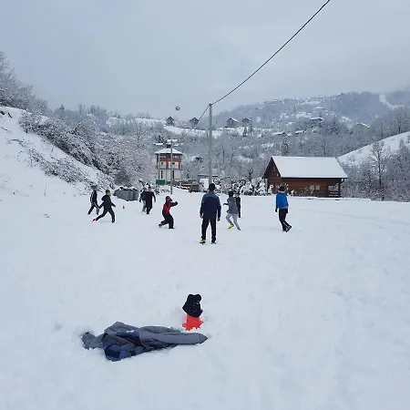 Hostel Dzajicaa Buk - Noahs Ark *