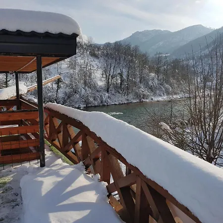 Dzajicaa Buk - Noahs Ark