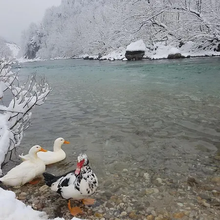 ホステル Dzajicaa Buk - Noahs Ark