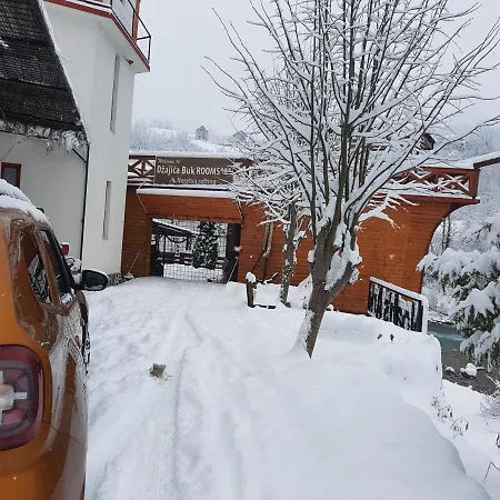 ホステル Dzajicaa Buk - Noahs Ark