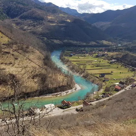 Dzajicaa Buk - Noahs Ark Hostel *