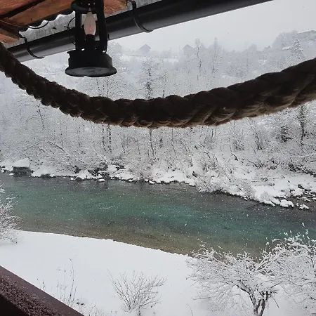 Dzajicaa Buk - Noahs Ark