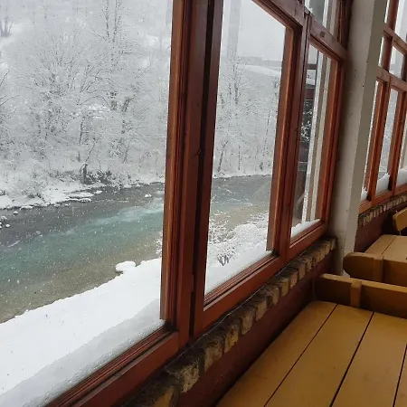 Dzajicaa Buk - Noahs Ark コニツ