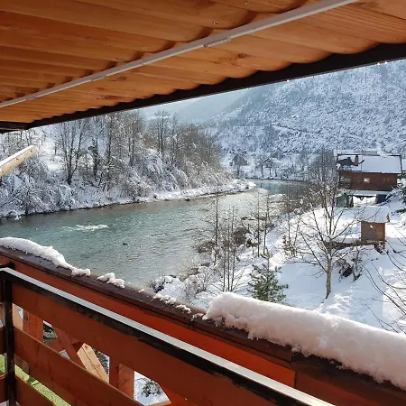 Dzajicaa Buk - Noahs Ark