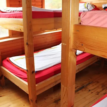 Dzajicaa Buk - Noahs Ark