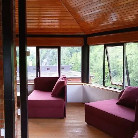 Dzajicaa Buk - Noahs Ark Konjic