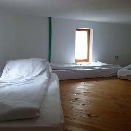 Dzajicaa Buk - Noahs Ark コニツ