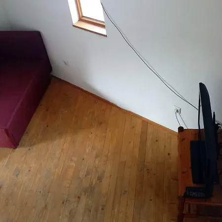 Dzajicaa Buk - Noahs Ark