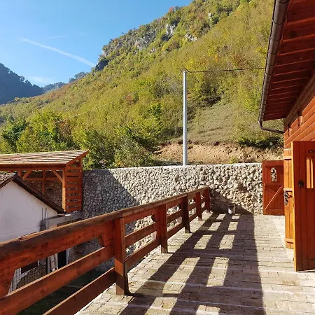 Dzajicaa Buk - Noahs Ark Konjic