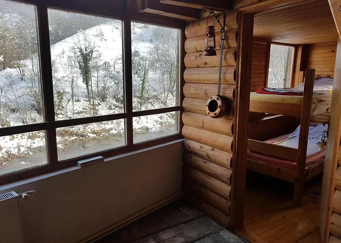 Dzajicaa Buk - Noahs Ark