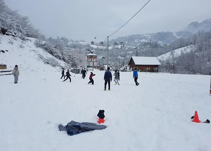 Hostel Dzajicaa Buk - Noahs Ark *