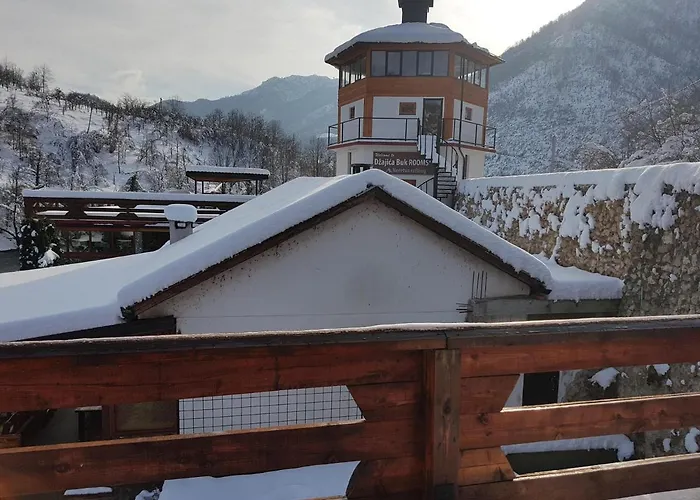 Dzajicaa Buk - Noahs Ark Hostel