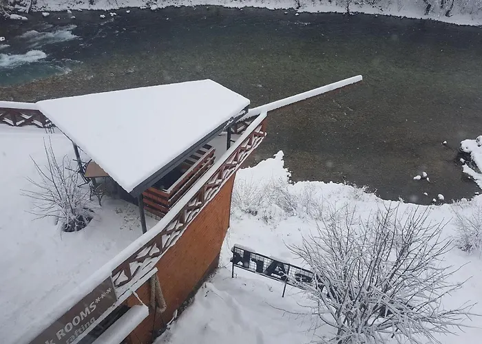 Hostel Dzajicaa Buk - Noahs Ark *