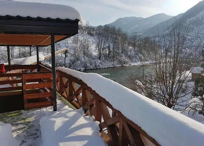 Dzajicaa Buk - Noahs Ark