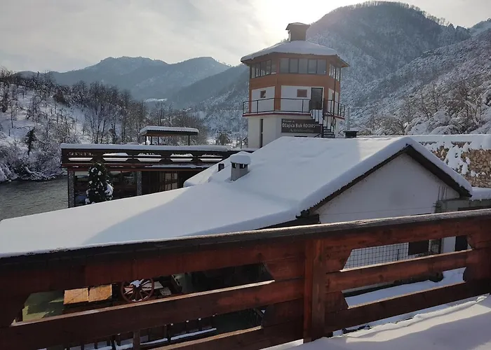 Hostel Dzajicaa Buk - Noahs Ark