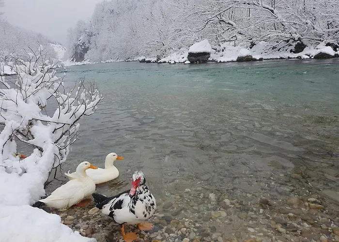 Hostel Dzajicaa Buk - Noahs Ark