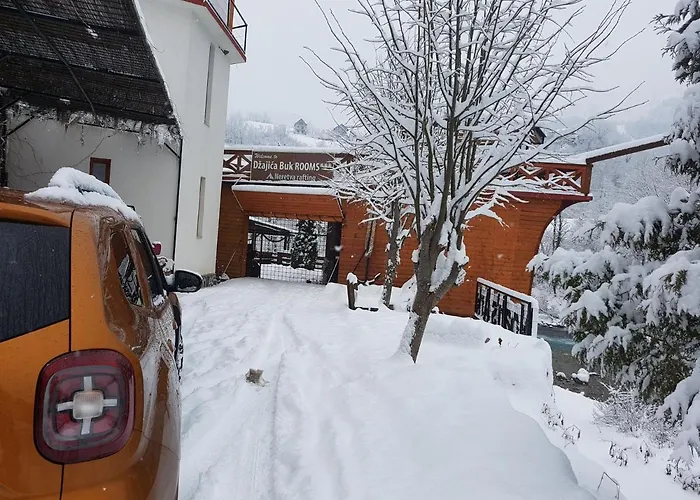 Hostel Dzajicaa Buk - Noahs Ark