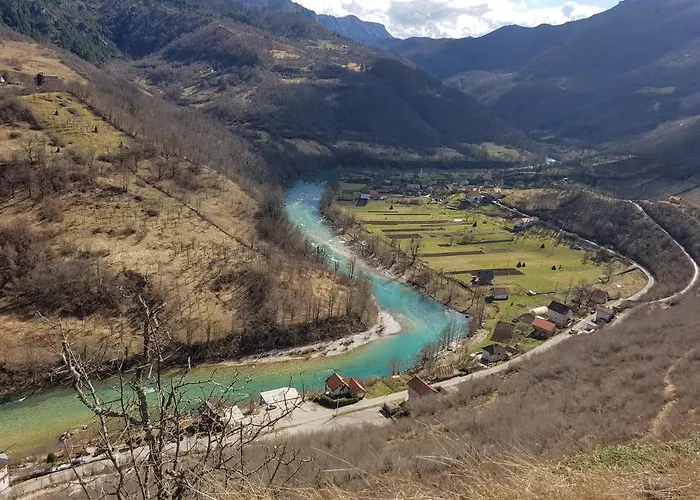 Dzajicaa Buk - Noahs Ark Hostel *