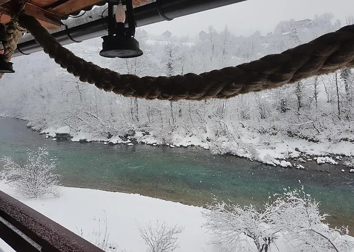 Dzajicaa Buk - Noahs Ark