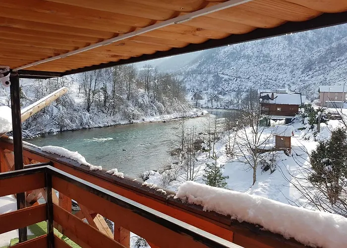 Dzajicaa Buk - Noahs Ark