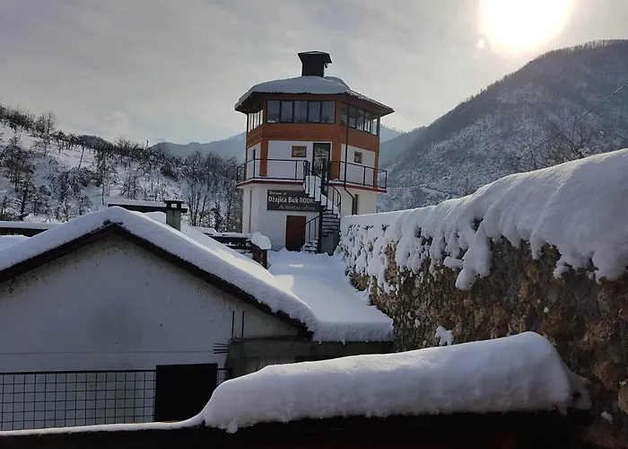 Dzajicaa Buk - Noahs Ark * Konjic