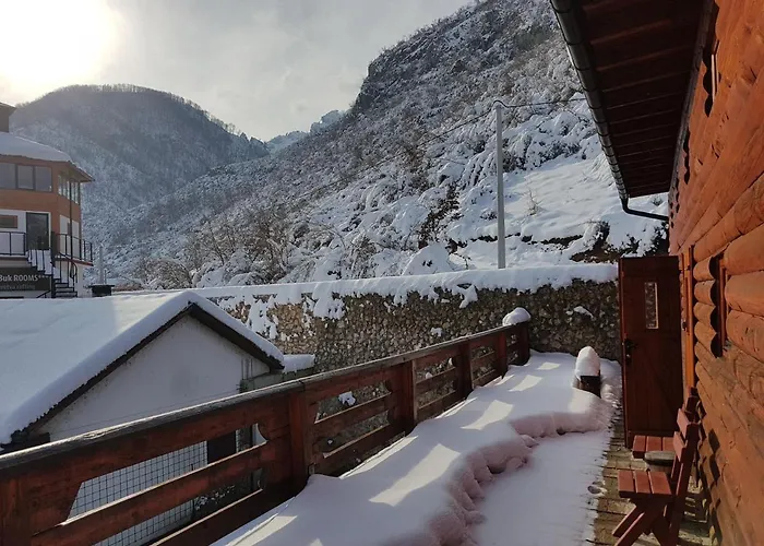 Dzajicaa Buk - Noahs Ark Hostel *