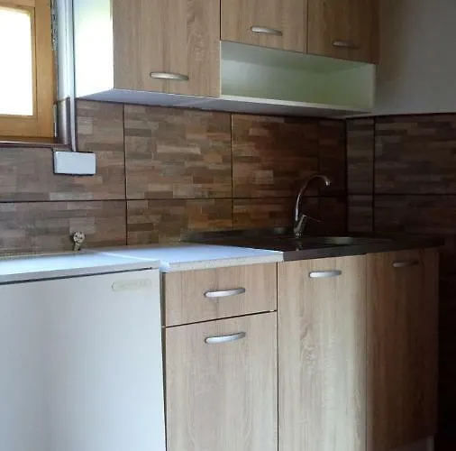 Dzajicaa Buk - Noahs Ark *