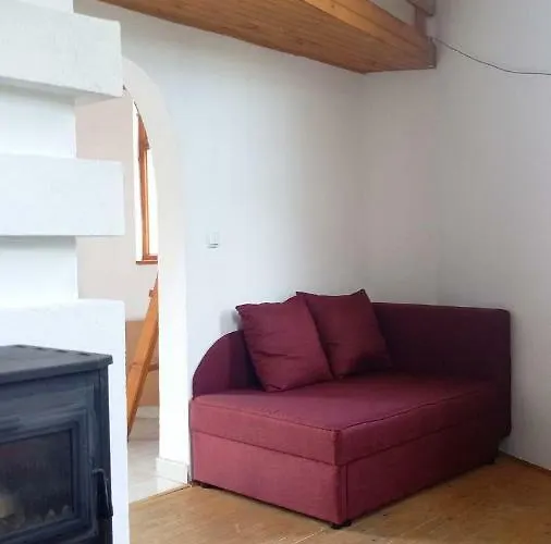 Dzajicaa Buk - Noahs Ark Konjic