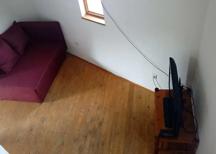 Dzajicaa Buk - Noahs Ark