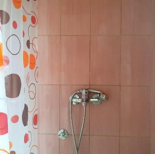 Dzajicaa Buk - Noahs Ark *