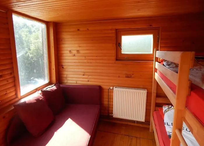 Dzajicaa Buk - Noahs Ark