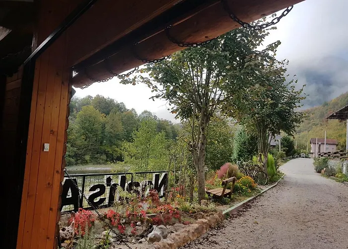 Dzajicaa Buk - Noahs Ark Konjic